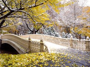 Early_Snowfall_Central_Park_New_York