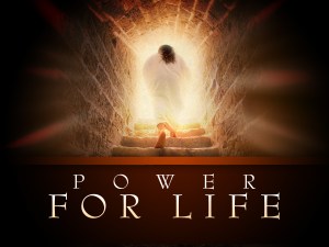 power2bfor2blife_t_nv