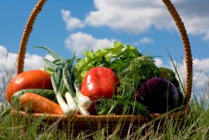Basket with vegetables