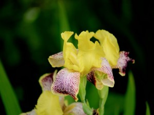 Processed by: Helicon Filter;