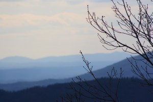 Blueridge