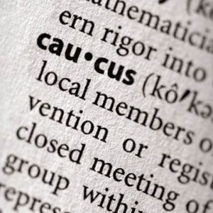 caucus-dictionary