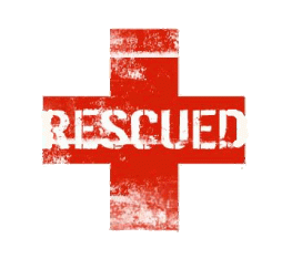 Image result for rescuer Lord